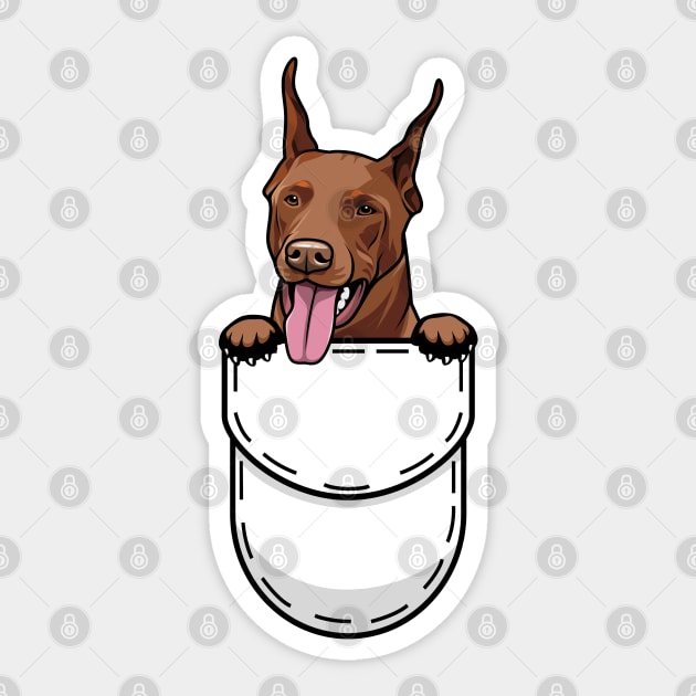 Pocket doberman hot sale